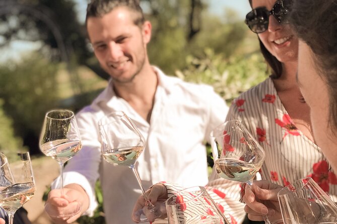 Provence Wine Tour - Small Group Tour from Cannes - Lunch in a Provençal medieval village: your pause, your photos, your budget