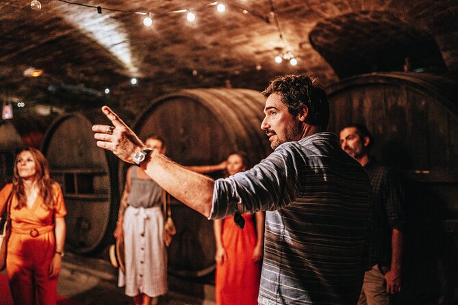 Provence Wine Tour - Small Group Tour from Nice - Second and third estates: comparing reds, whites, and rosés in context