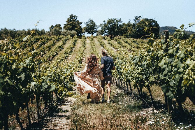 Provence Wine Tour - Small Group Tour from Nice - Small group chemistry: how guides make it feel personal