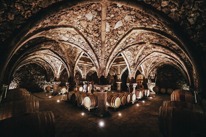 Provence Wine Tour - Small Group Tour from Nice - Practical tips to make the day smoother