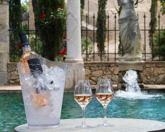 Provence Wine Tour - Small Group Tour from Nice - Stop one: your first tasting, your first big lesson
