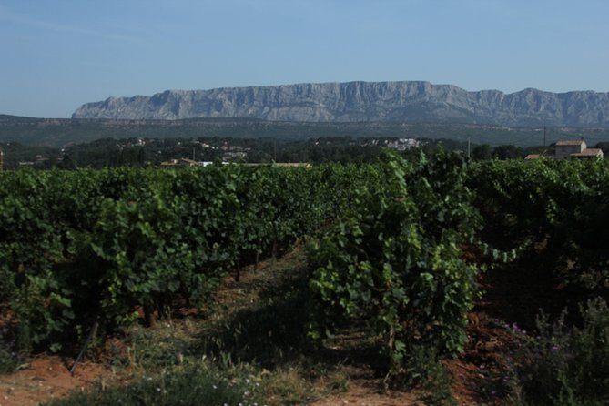 Provence Wineries and Luberon Villages Day Trip from Aix-en-Provence - Meeting in Aix-en-Provence and the rhythm of the day