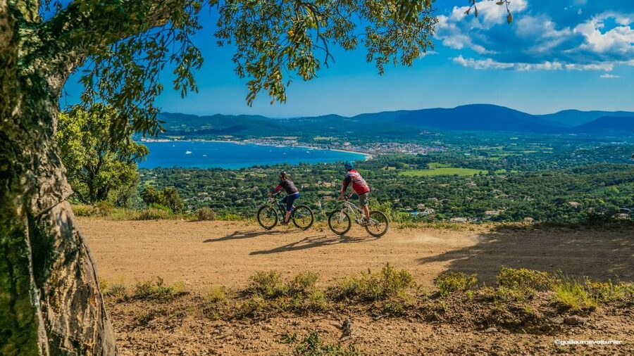 Ramatuelle: Tracks & Tasting Winery Tour by Mountain E-Bike - Key things I’d pay attention to