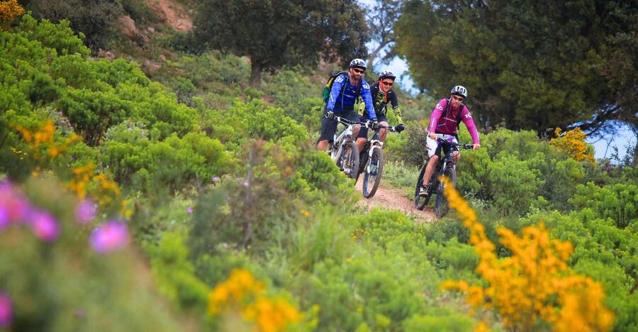 Ramatuelle: Tracks & Tasting Winery Tour by Mountain E-Bike - Route des Plages to Saint-Tropez: sea views with sightseeing built in