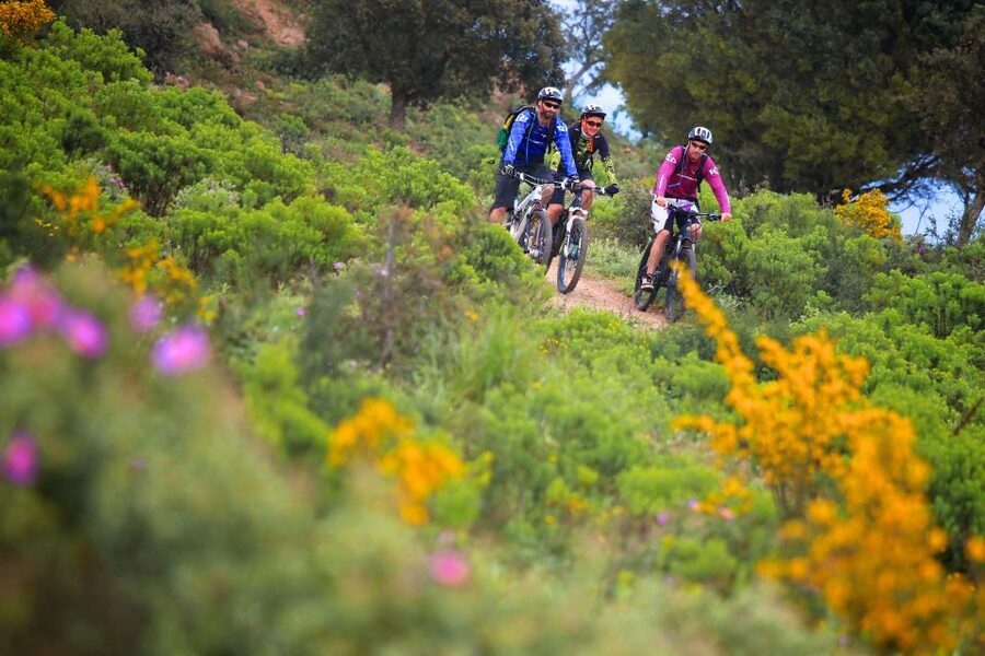 Ramatuelle: Tracks & Tasting Winery Tour by Mountain E-Bike - Who this tour suits best, and who should skip it