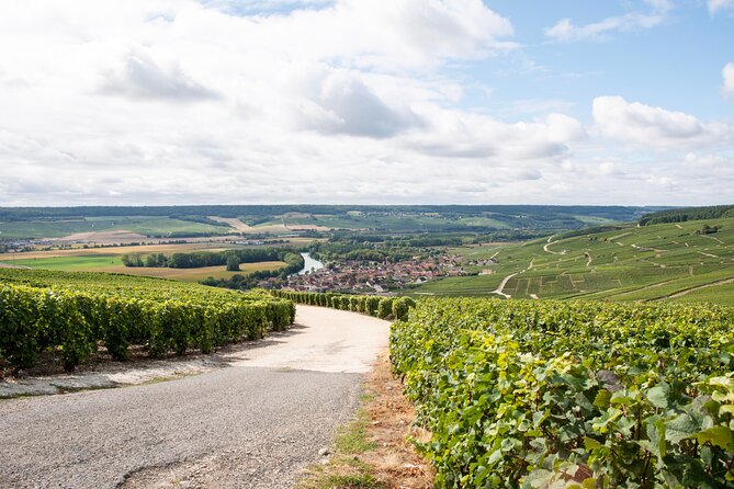 Reims afternoon tour Champagne and family growers - Passing through Hautvillers: the village drive that frames the setting