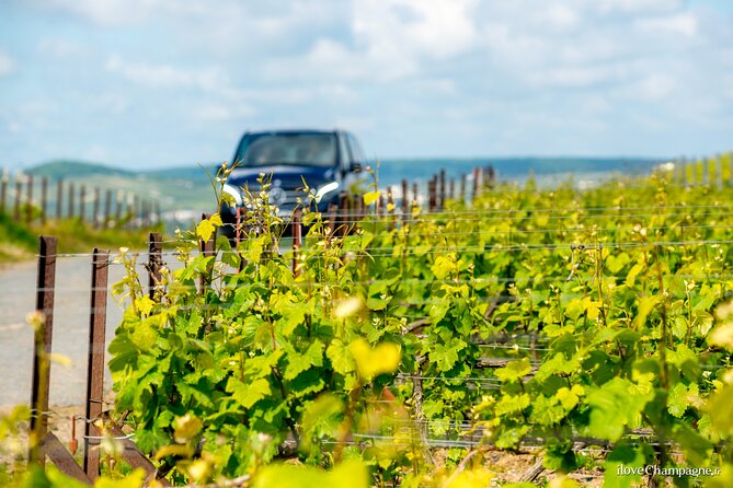 Reims or Epernay: Full day Champagne Mumm, family grower & lunch - Who This Champagne Tour Is Best For (And Who Might Skip It)