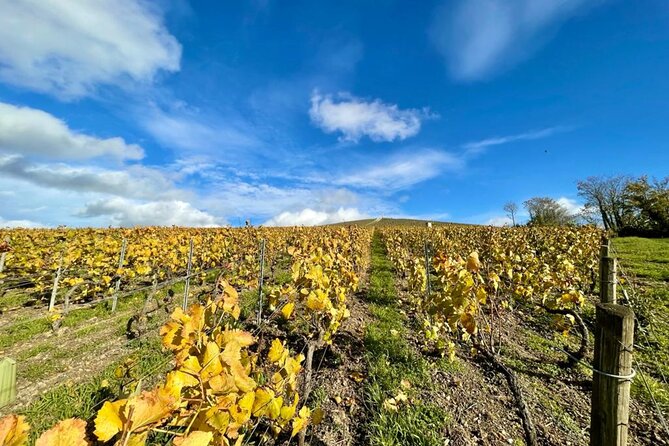 Reims or Epernay: Full day Champagne Mumm, family grower & lunch - Should You Book This Reims to Epernay Champagne Tour?