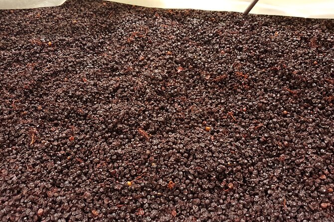 Rhône Valley Wine Tasting Private Day Tour from Lyon - Last winery at 14:30: older cellars, cheese pairing, and a Rhône finale