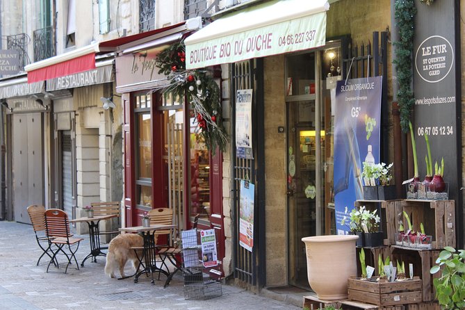 Roman Sites and Historical Places Day Trip from Avignon - Value and budget: what $203 buys you, and what it does not