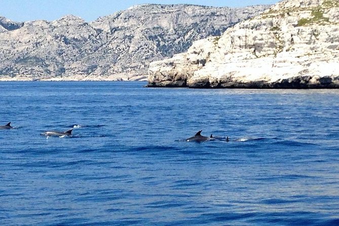 Sailing day in the heart of the Calanques - Lunch in a magnificent cove: fresh food, wine, and sun management