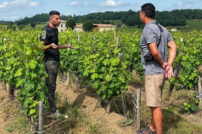 Saint-Émilion: 2 hours - Visit of the vineyard, the cellar and tasting - Key highlights you will care about