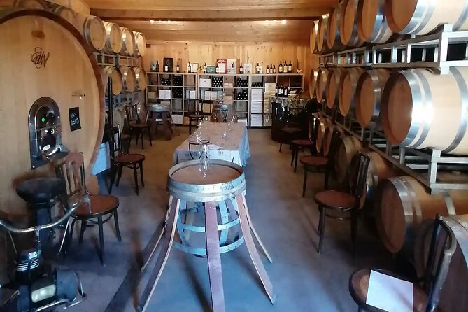 Saint-Émilion: 2 hours - Visit of the vineyard, the cellar and tasting - Where it fits best (and who might want a different option)