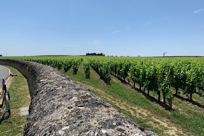 Saint-Emilion Afternoon Wine Tour - 2 Wineries & delicacies - From Bordeaux to Saint-Émilion: How the Afternoon Sets Up