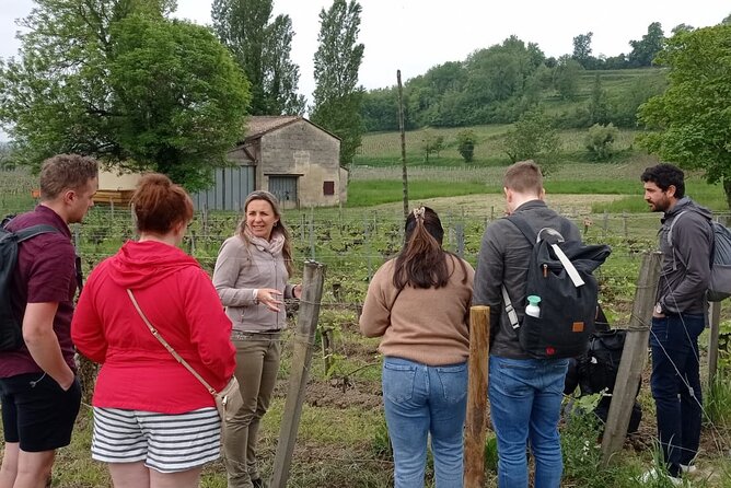 Saint-Emilion Afternoon Wine Tour - 2 Wineries & delicacies - Stop 4: Family-Run Winery Apéritif With Local Cheeses and Cured Meats