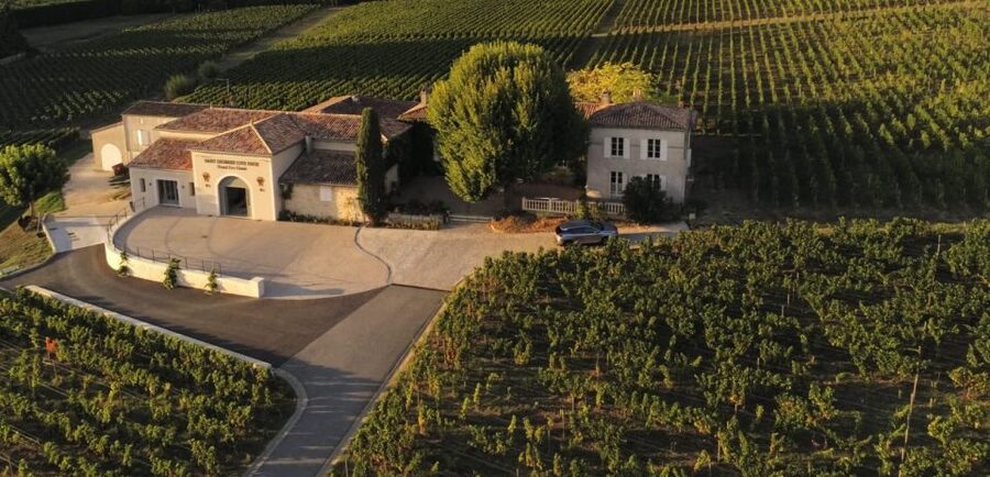 Saint-Émilion: Bordeaux Vineyard Tour and Wine Tasting - Cellar time and barrel aging: the part that turns curiosity into understanding