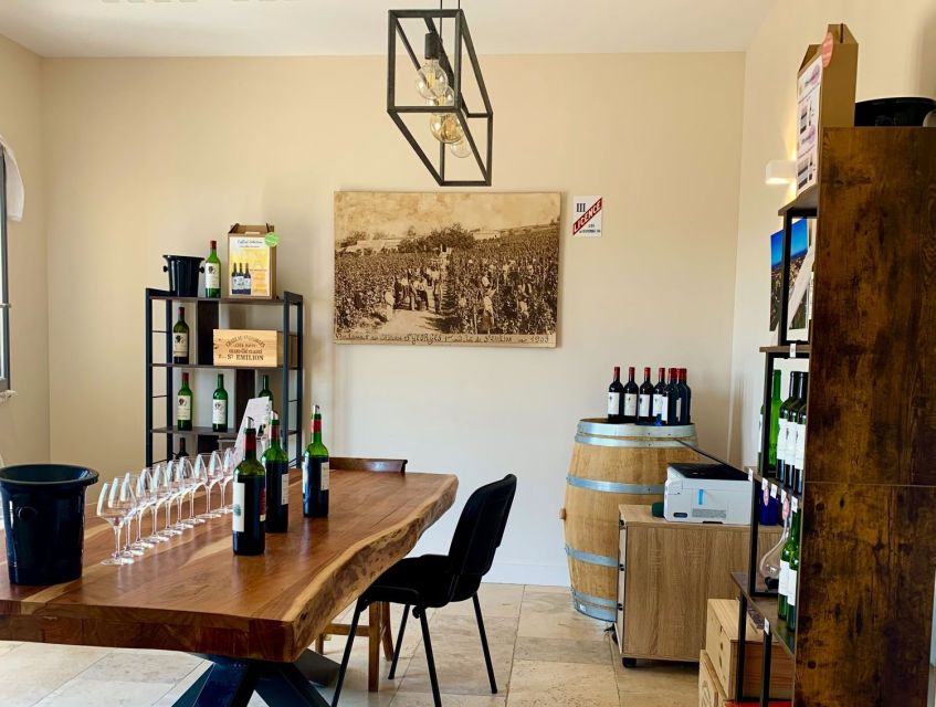 Saint-Émilion: Bordeaux Vineyard Tour and Wine Tasting - The vineyard walk up Côte Pavie: what you learn before you taste