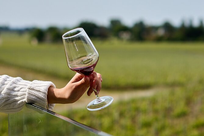 Saint-Émilion day tour: village visit, Châteaux and lunch - Château stops that actually teach you something