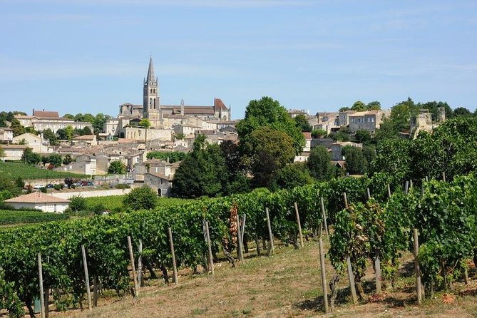 Saint-Émilion day tour: village visit, Châteaux and lunch - The vineyard picnic lunch: why it feels like a bonus, not filler