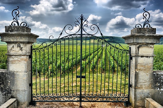 Saint Emilion Day Trip with Sightseeing Tour & Wine Tastings from Bordeaux - Food, shoes, and the real-life tips that keep the day enjoyable
