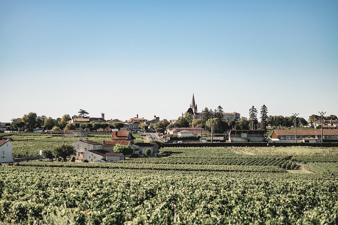 Saint-Emilion Electric Bike Day Tour with Wine Tastings & Lunch - Wine Tastings: Getting More from Each Pour