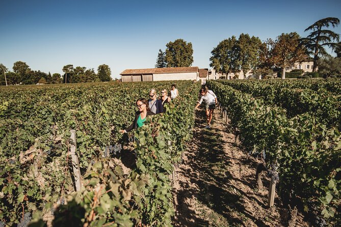 Saint-Emilion Food and Wine Day Tour - Chateau Ambe Tour Pourret: Guided Estate Time and Your First Wines