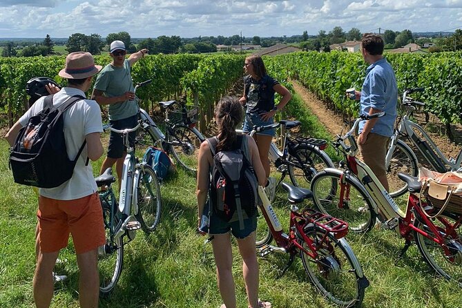 Saint Emilion Full Day Wine and Bike Tour - The second winery: family estate time and mostly red tastings