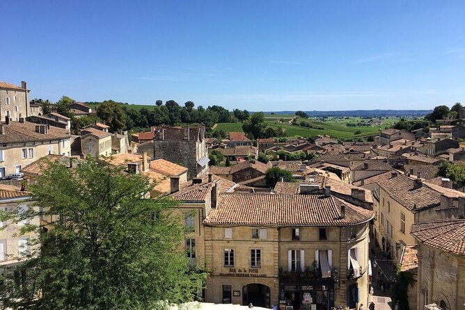 Saint Emilion Full Day Wine and Bike Tour - How the day’s pacing works for active, not hardcore, cyclists
