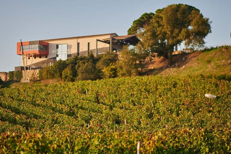 Saint-Emilion: Grand Cru Classé Gourmet Visit - Stop 1: Château Tour Baladoz and the traditional Saint-Emilion feel
