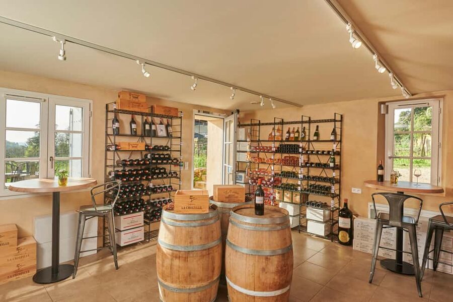 Saint-Emilion: Grand Cru Classé Gourmet Visit - The vineyard terrace tasting: 3 wines with a guide-led comparison