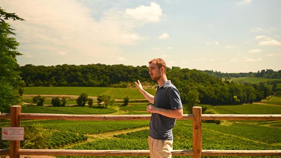 Saint-Emilion: Grand Cru Classé Gourmet Visit - Pairing wine with charcuterie and cheese on an outdoor terrace