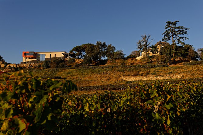 Saint-Emilion Grand Cru Classified: Visit & Tasting in French - Château La Croizille: production rooms plus a tasting room with a real view