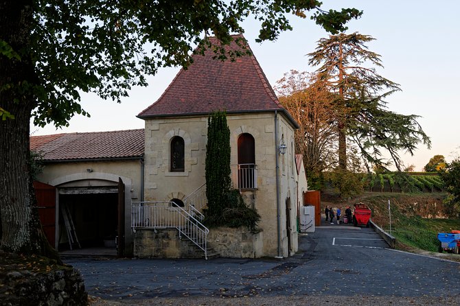 Saint-Emilion Grand Cru Classified: Visit & Tasting in French - My decision rule: should you book this Saint-Emilion Grand Cru tasting?