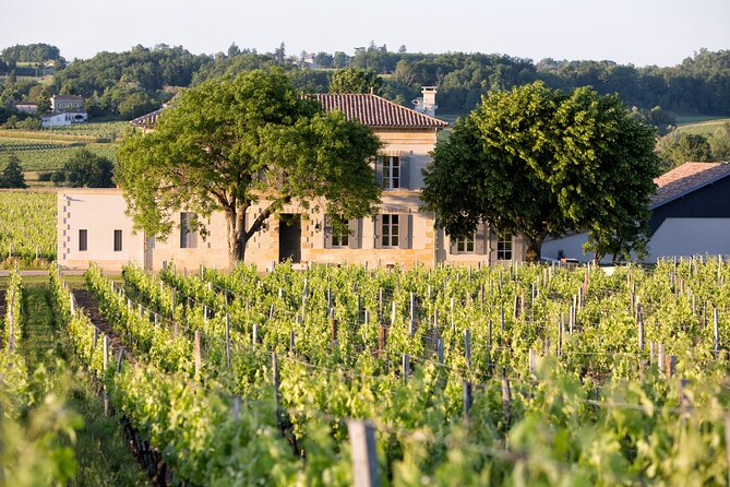 Saint Emilion Half-Day Trip with Wine Tasting & Winery Visit from Bordeaux - What you get for your money (and how to judge the price)