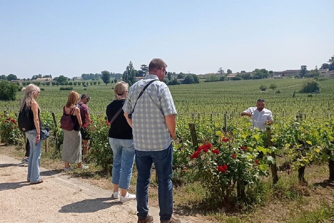 Saint Emilion Morning Wine Tour - Winery & Tastings from Bordeaux - Price and value: what $116 buys you (and why it can be fair)