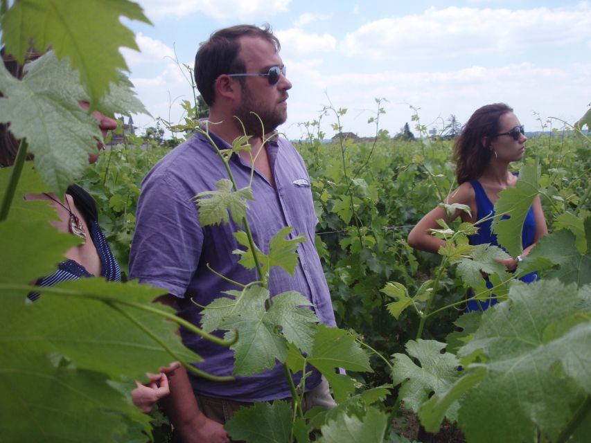 Saint-Émilion: Vineyard Walking Tour and Tasting - How the meeting point and short drive shape your day