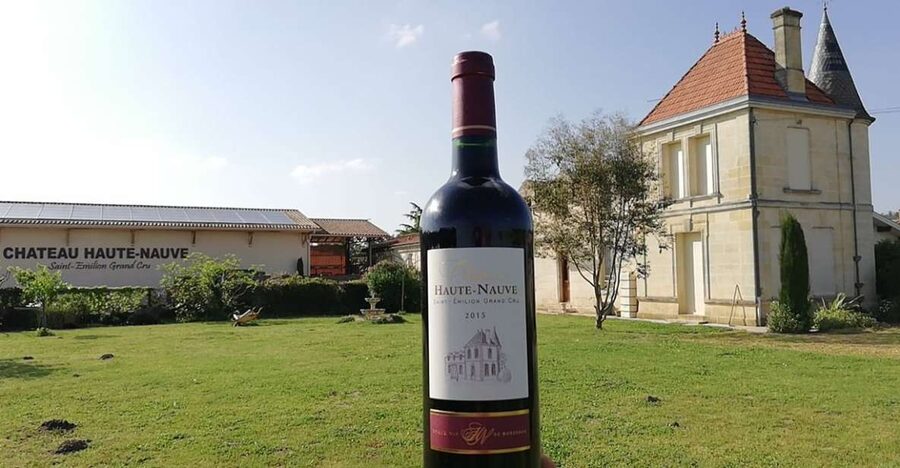 Saint-Émilion: Vineyard Walking Tour and Tasting - Vineyard walking tour: plots, seasons, frost protection, and a few odd sights