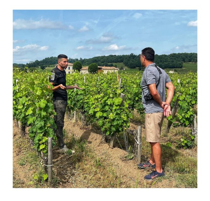 Saint-Émilion: Vineyard Walking Tour and Tasting - Barrel cellar ageing: why the last months matter as much as the first grapes