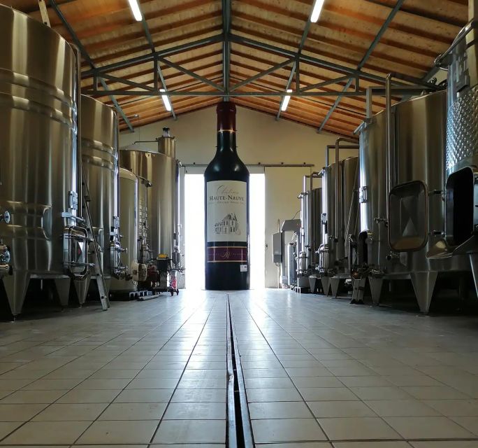 Saint-Émilion: Vineyard Walking Tour and Tasting - Price and value: why $29 feels fair for 2 hours