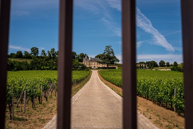 Saint-Émilion Wine Tour By Premium Electric Bike, Lunch Included - Lunch in the château gardens, with wine included