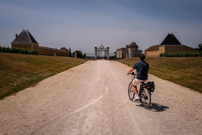 Saint-Émilion Wine Tour By Premium Electric Bike, Lunch Included - Château Coutet: organic vineyard visit and biodiverse vineyard philosophy