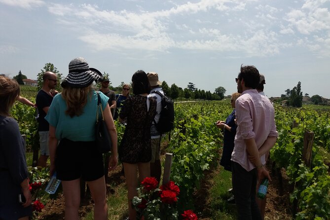 Saint Emilion Wine Tour Tasting Half Day from Bordeaux - Key things you should know before you go