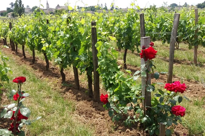 Saint Emilion Wine Tour Tasting Half Day from Bordeaux - The UNESCO village of Saint-Émilion: walk it, or pick your viewpoint