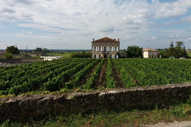 Saint Emilion Wine Tour Tasting Half Day from Bordeaux - Food: the small fuel you need before six tastings