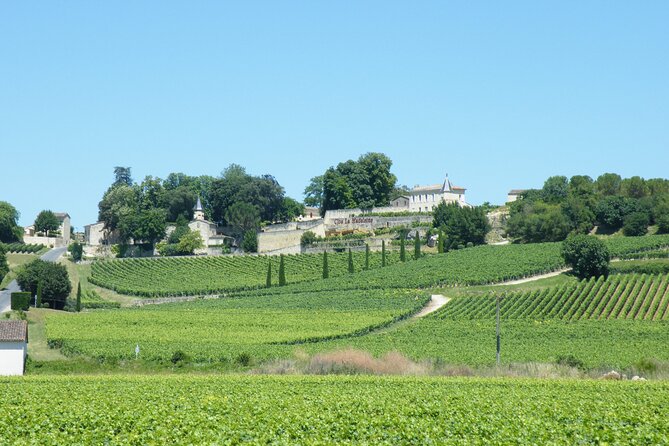 Saint Emilion Wine Tour Tasting Half Day from Bordeaux - Meeting point, timing, and how to avoid the stress
