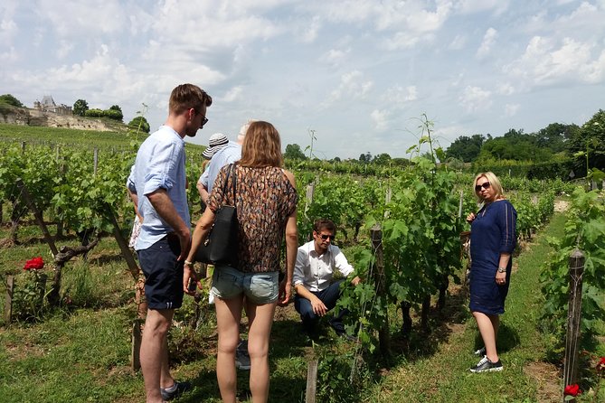 Saint Emilion Wine Tour Tasting Half Day from Bordeaux - Group size and comfort in the minibus