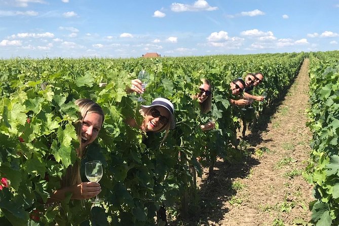 Saint-Emilion Winery Morning Tour with Local Guide - Getting To Saint-Émilion Without the Hassle