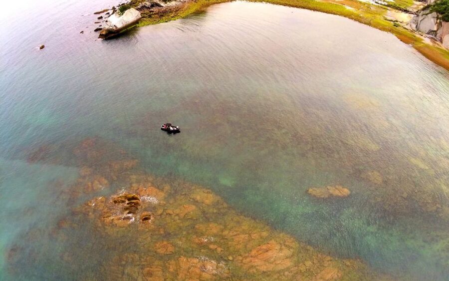 Saint-Jean-de-Luz, Basque country: Boat tour along the Coast - Cap Figuier and the calm-water feel, plus your optional swim