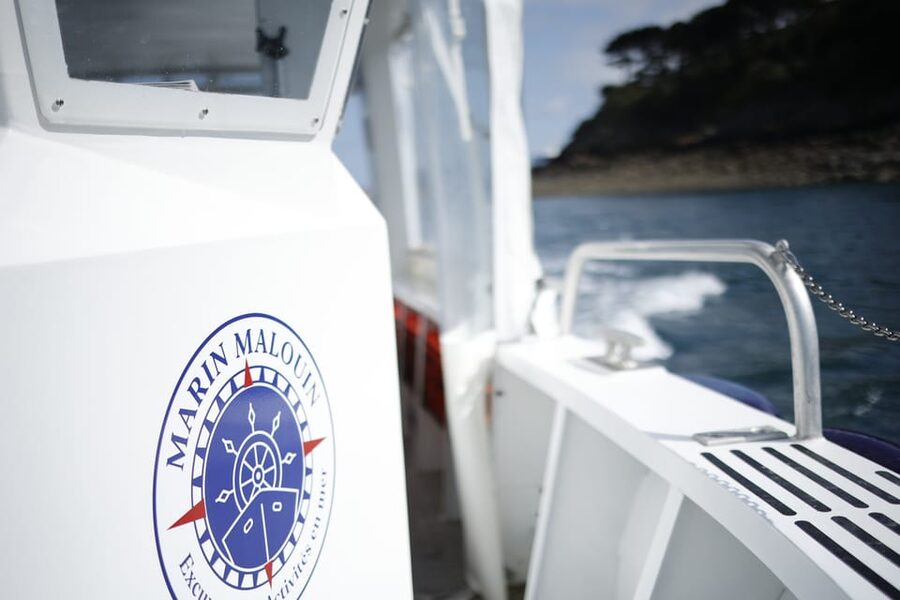 Saint-Malo: Guided Boat Tour with Local Captain - What the ride feels like, wind, waves, and staying comfortable