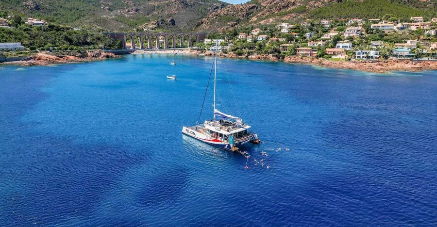 Saint Raphaël: Guided cruise, discover a beautiful coastline - Anthéor Viaduct Anchorage Break: Paddleboards, Swimming Time, and a Real Reset